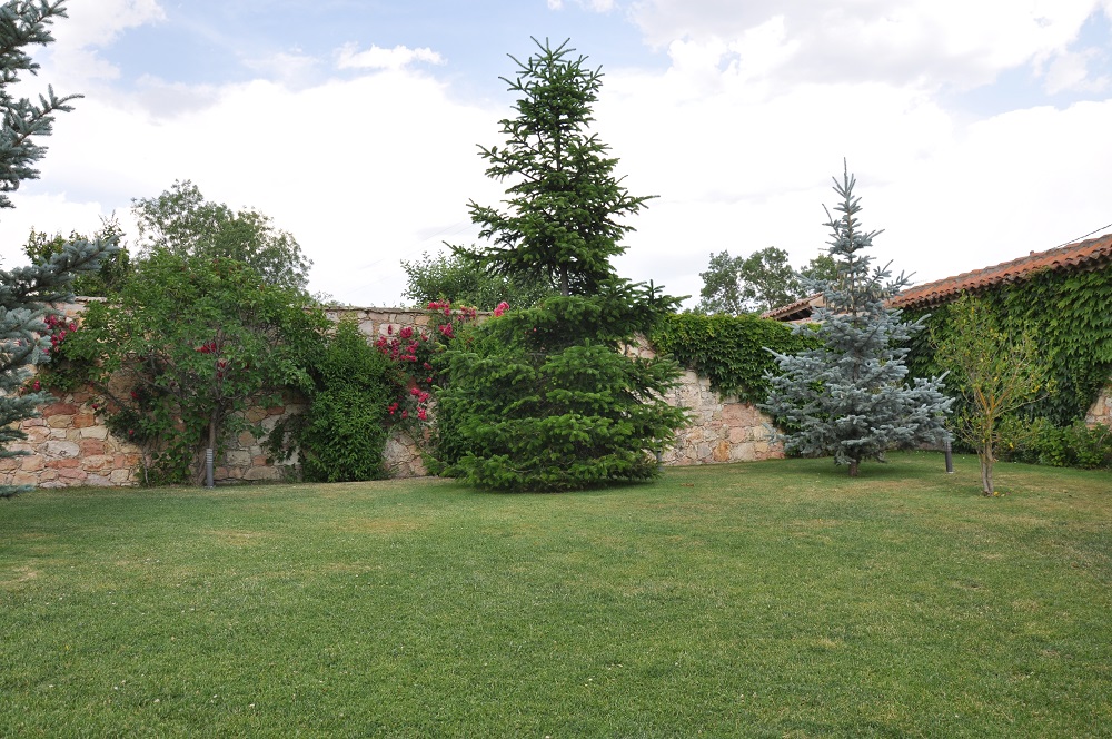Jardin Casa Rural La Cantañera Cañicosa Segovia
