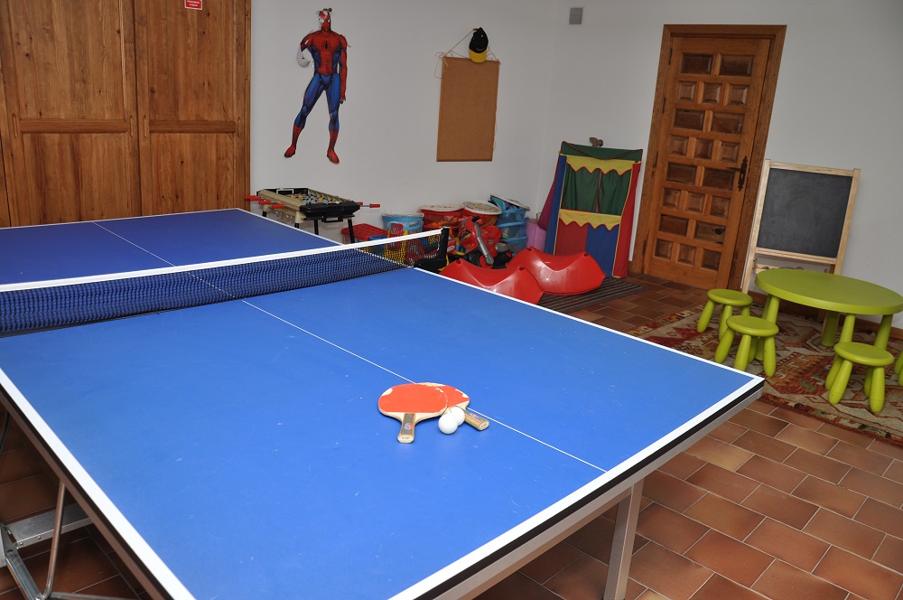 Ping Pong Casa Rural La Cantañera Cañicosa Segovia